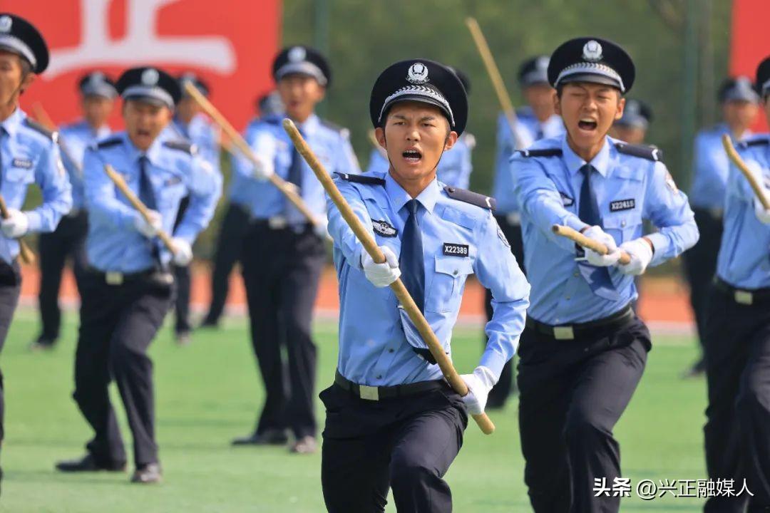 北京警察学院是几本，深度解读学院的办学历史与特色，北京警察学院，办学历史与特色深度解读，究竟是一本还是二本？