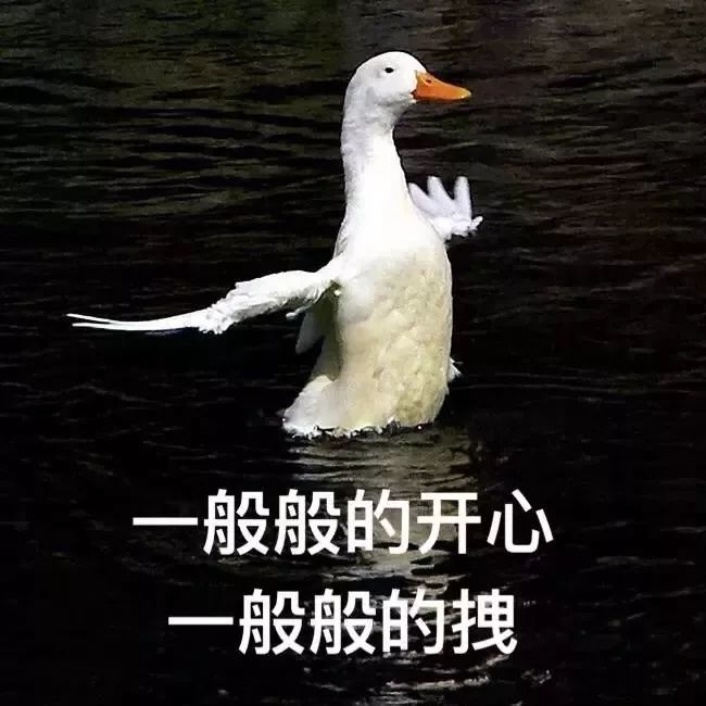 香港 第197页