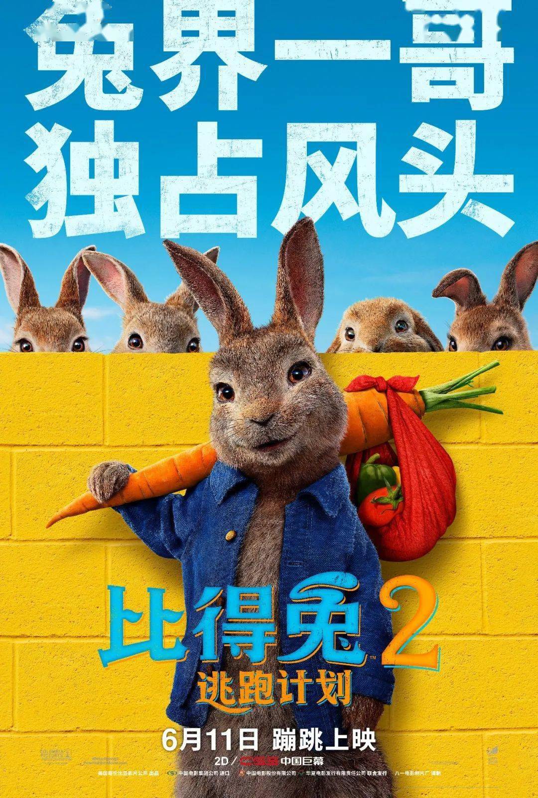 王中王一马中特二肖，探寻成功背后的故事与智慧，探寻王中王一马中特二肖背后的成功故事与智慧之道