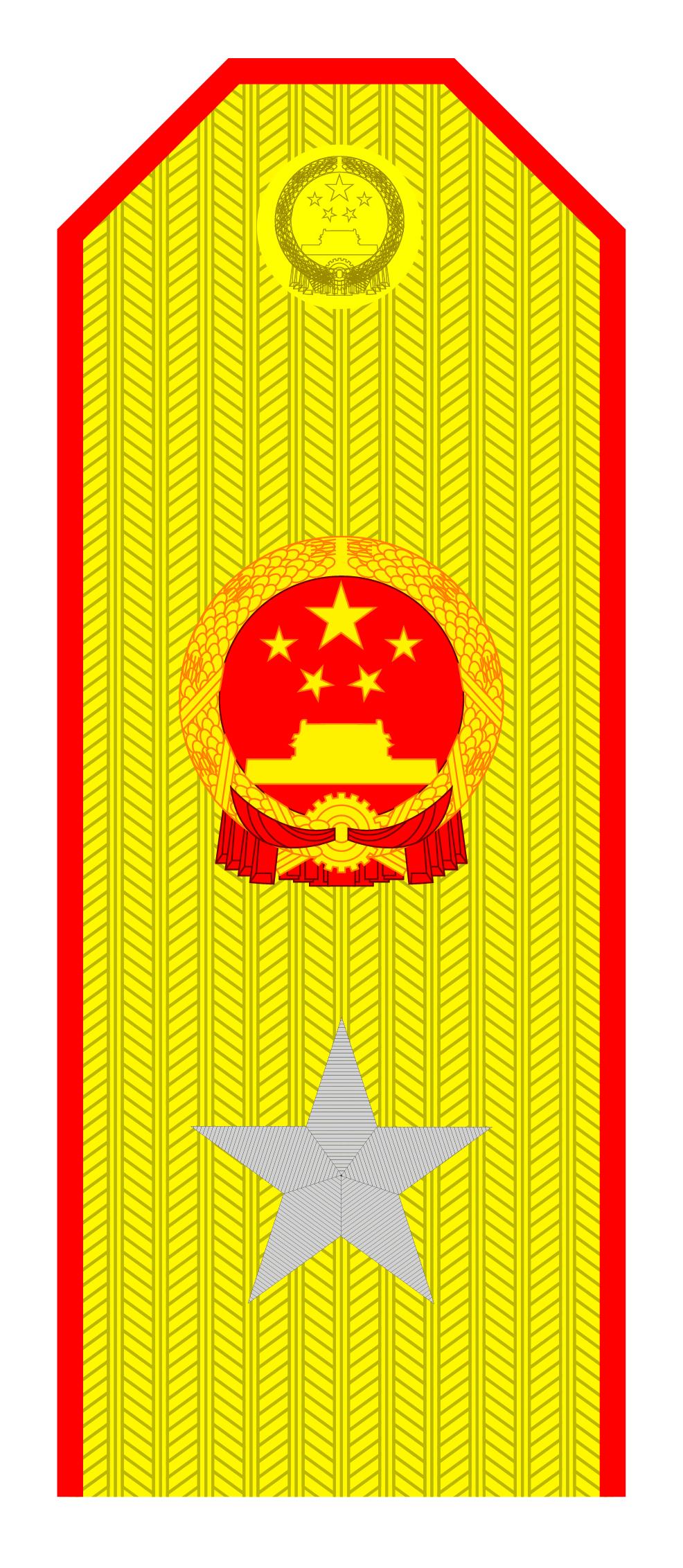 军衔等级肩章与对应官职，军事荣誉的象征与职责的体现，军衔等级肩章与官职对照，军事荣誉与职责的象征