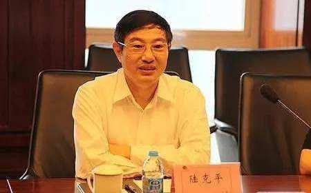 陆克平，商业领袖的卓越人生，陆克平，商业领袖的辉煌人生之路