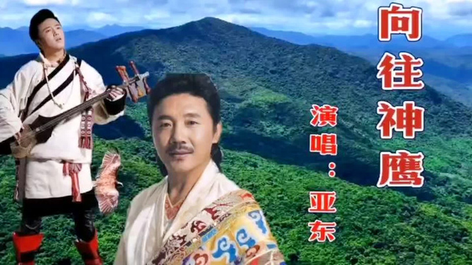 向往雄鹰亚东，探寻力量与自由的象征之旅，探寻雄鹰亚东，力量与自由的象征之旅