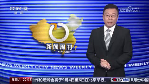 最新国际新闻观察视频，全球动态一网打尽，全球最新国际新闻观察视频概览，全球动态一网打尽