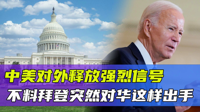 中国突然出手震惊美国，揭示背后的力量与策略，中国行动背后的力量与策略，揭示行动震惊美国的真相