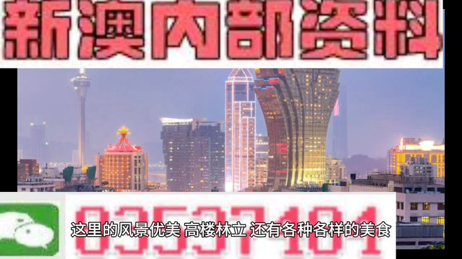 未来趋势深度解析