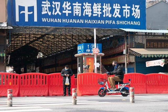 华南海鲜市场事件，探究背后的真相与挑战，华南海鲜市场事件真相探究与挑战