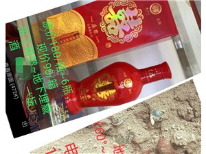 深度探讨与剖析