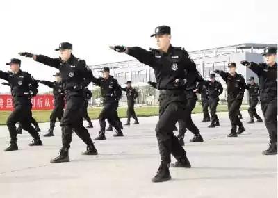 特警与武警，两种力量的优势与特点比较，特警与武警的力量优势与特点比较