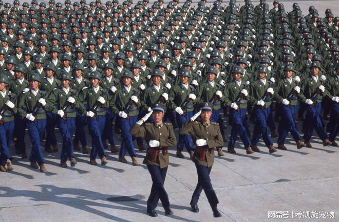 重温历史荣光，1984年大阅兵视频的回眸与解读，重温历史荣光，1984年大阅兵视频回顾与深度解读