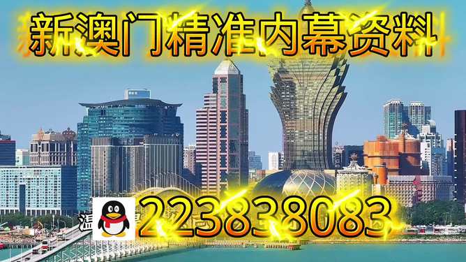 探索新澳门最快开奖结果的魅力，澳门最新开奖结果探索之旅的魅力