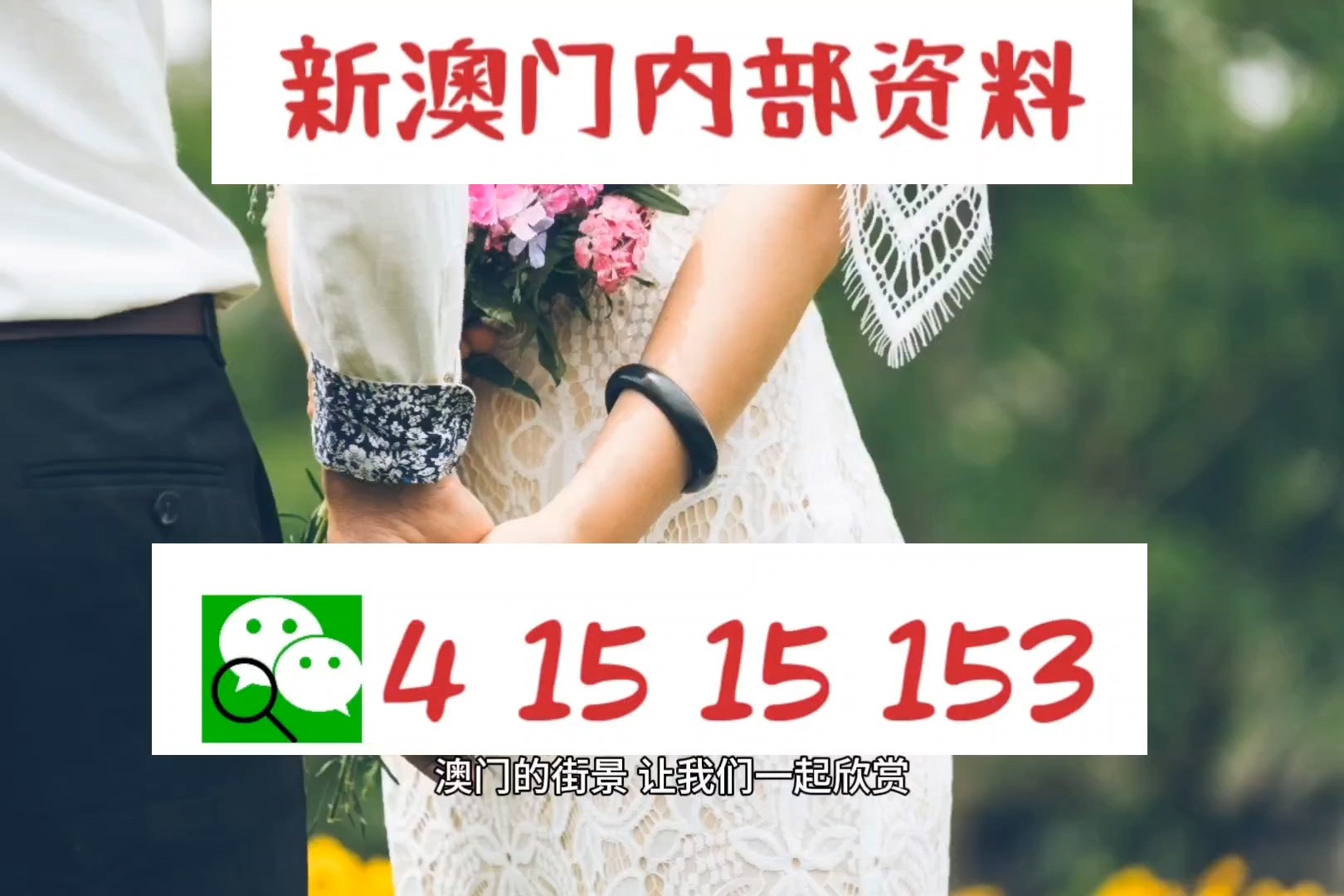 澳门正版资料大全与贫困的挑战，担石之困与解决之道，澳门正版资料与贫困挑战，担石之困的解决之道探索