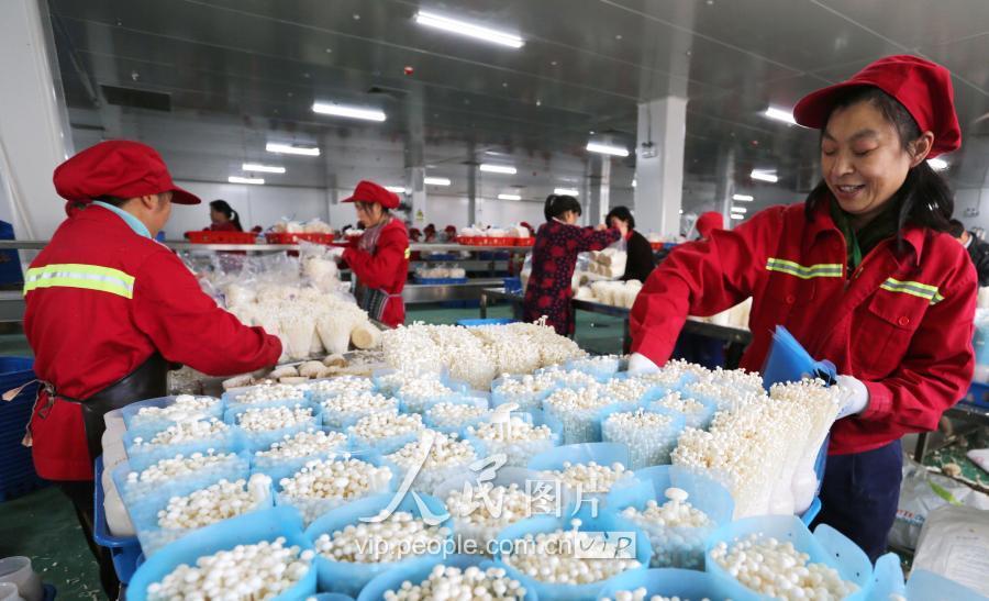 东海风云，揭秘中国东海十型巡航导弹的威力和战略意义，东海风云，中国东海十型巡航导弹的威力和战略揭秘