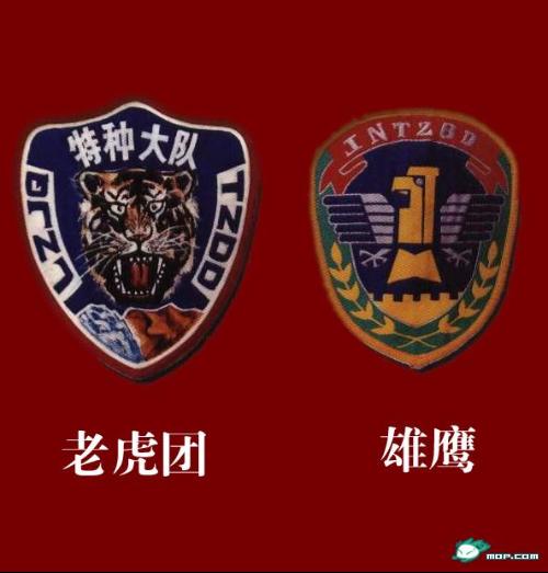 蛟龙突击队臂章介绍，荣耀与使命的象征，蛟龙突击队臂章，荣耀与使命的标志介绍