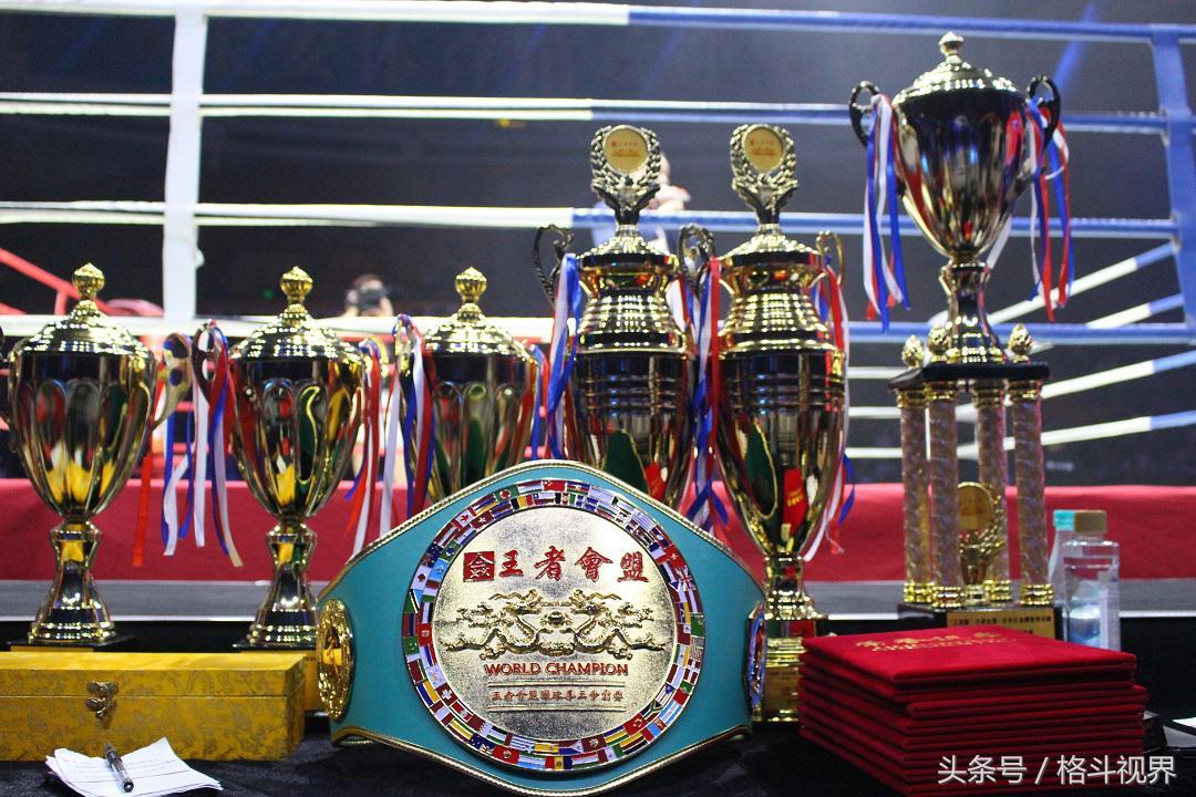 王中王72期指一生肖，探寻背后的文化奥秘，王中王72期生肖背后的文化奥秘探寻