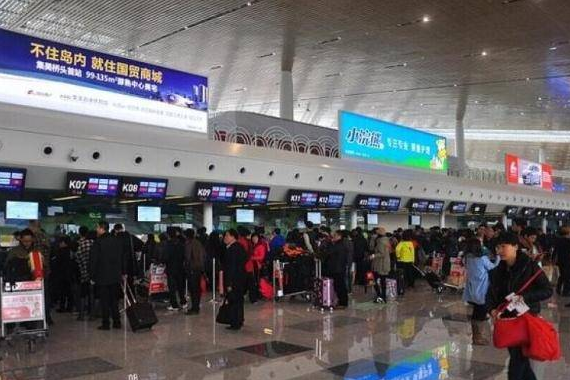 台当局最新消息新闻分析，台当局最新消息新闻深度解析