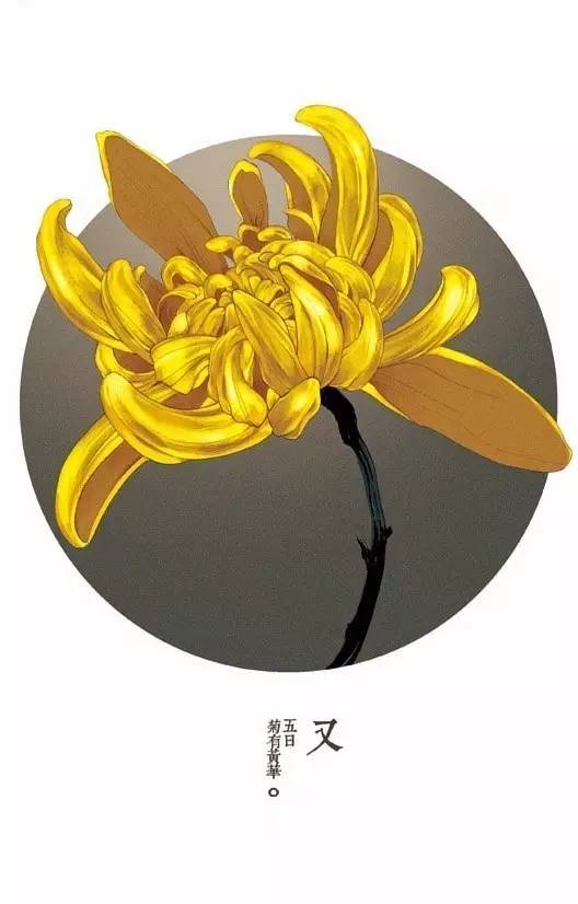 王中王白与六肖选一，命运之轮的神秘交织，王中王白与六肖选一，命运之轮的神秘交汇