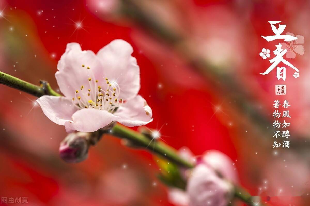 今天立春，万物复苏与新生之始，立春，万物复苏与新生篇章开启