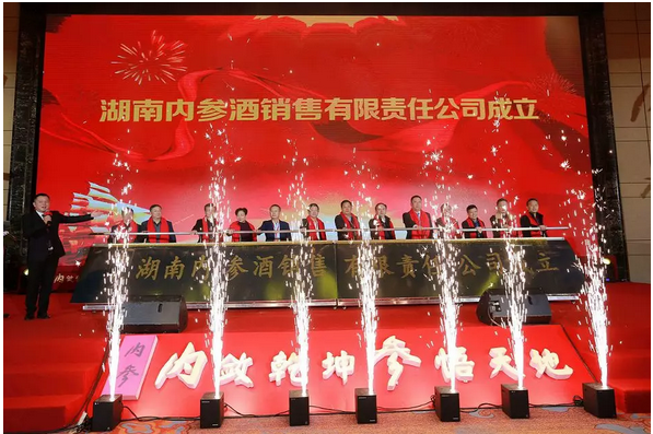 中华JMNC，探索与启示，中华JMNC，探索之路与启示之门