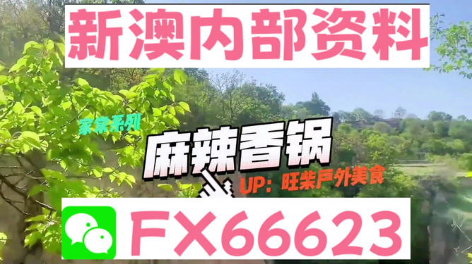 新澳精准资料，探索与应用的前沿，新澳精准资料，探索与应用的前沿领域