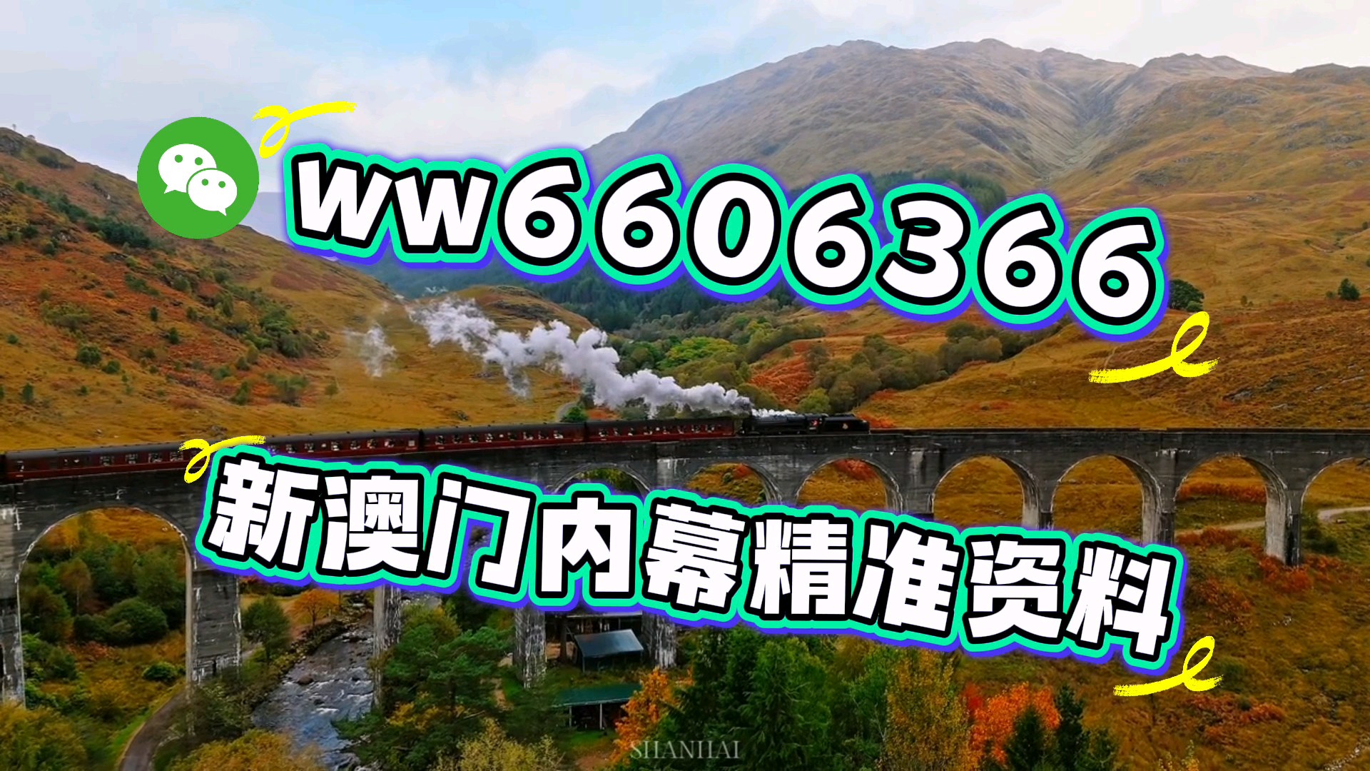 澳门彩票开奖结果，探索数字背后的故事与期待，澳门彩票开奖结果揭秘，数字背后的故事与期待