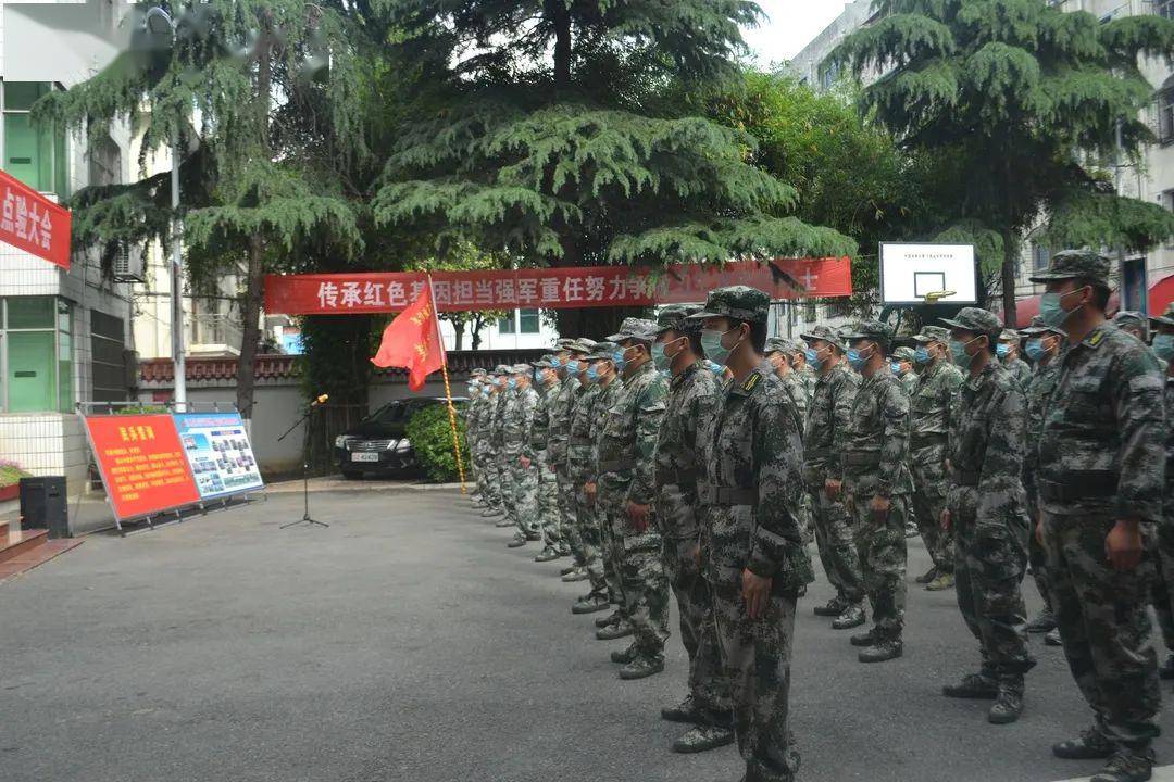 人民武装部官网网站查询，便捷、高效的服务新平台，人民武装部官网，便捷高效的服务新平台查询服务上线
