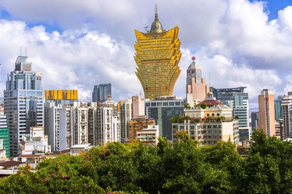 实时见证，澳门现场开奖直播的魅力与影响力，澳门现场开奖直播，实时见证魅力与影响力