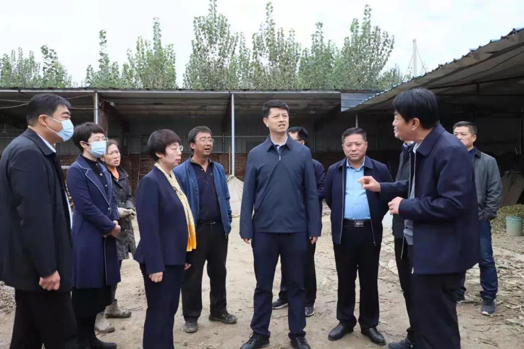 全球最新热点新闻综述——十则焦点报道，全球热点新闻综述，十大焦点报道汇聚