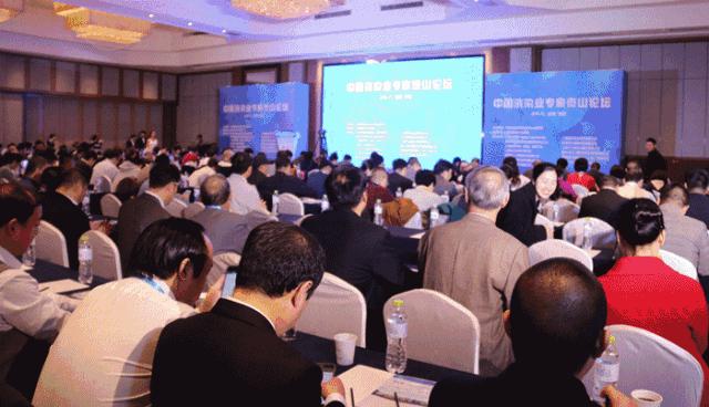 中国和日本的发展趋势，走向未来的共同繁荣与挑战，中日未来走向共同繁荣与挑战，发展趋势探析