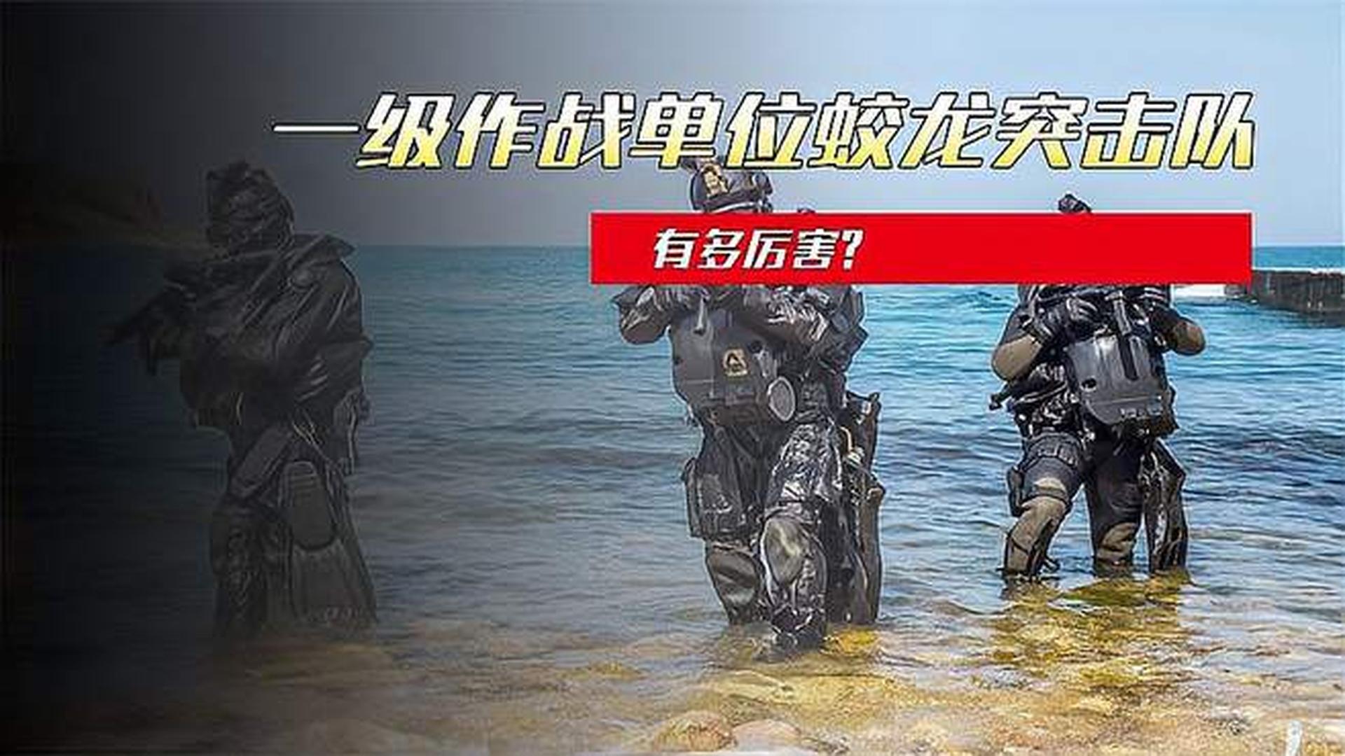 蛟龙突击队与海豹突击队，2024年的巅峰对决，蛟龙突击队与海豹突击队，巅峰对决即将上演，2024年对决前瞻
