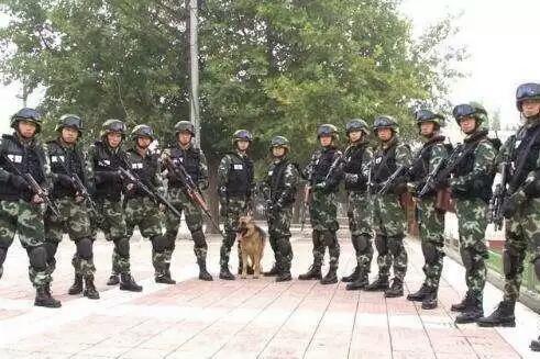罗衍威与中国人民武装警察部队特种警察学院，铸就反恐精英的摇篮，罗衍威与武警特种警察学院，反恐精英的摇篮培育地