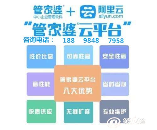 管家婆王中王一肖中平特，传奇般的智慧与精准决策力，管家婆王中王，传奇智慧与精准决策力