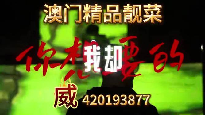 探索澳门正版生肖图，2025年的独特魅力与预测，探索澳门正版生肖图，2025年独特魅力及预测展望