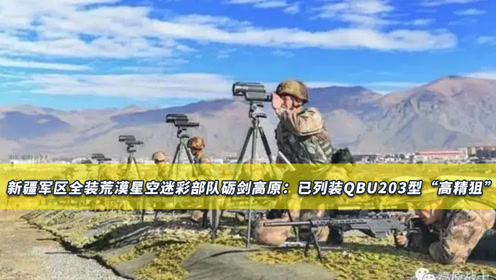 叶寸心打高精狙，精准打击的艺术，叶寸心精准打击的艺术，高精狙实战展示