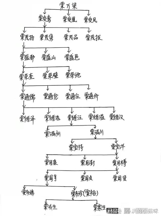 五十五军衔一览表，探寻军衔的荣耀与责任，五十五军衔一览表，荣耀与责任的探寻之路