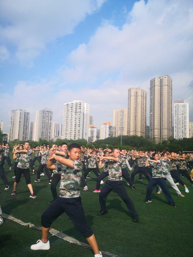 南岸区人民武装部官网，信息化时代的军事宣传窗口，南岸区人民武装部官网，信息化时代的军事宣传前沿