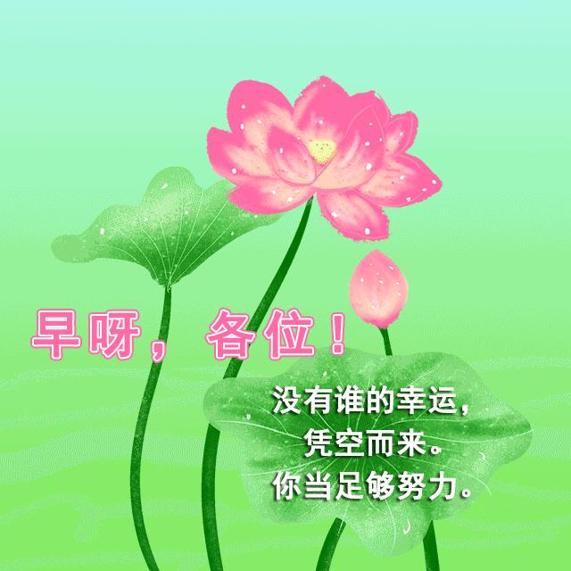 今日国际新闻概览（7月13日），今日国际新闻概览概览（7月13日时事）