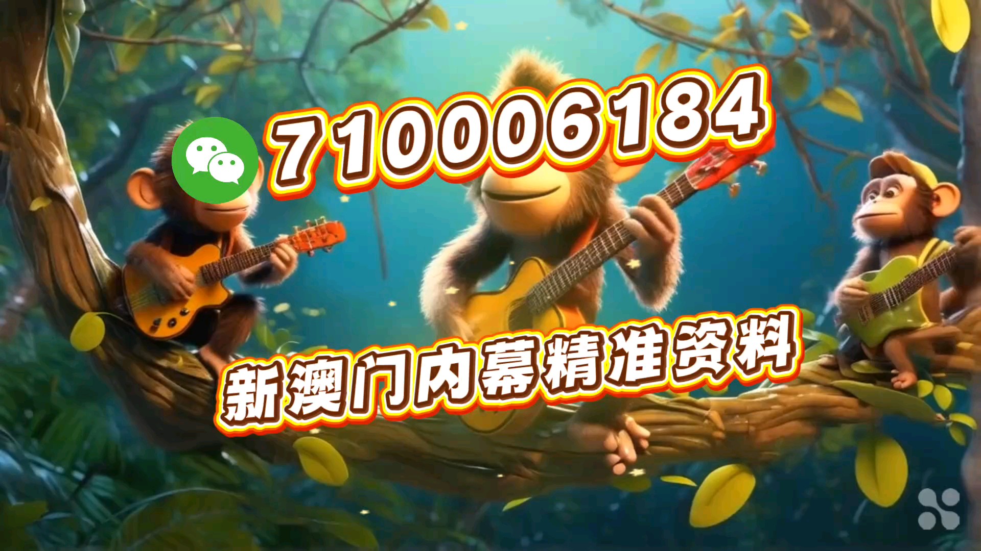 新澳门一肖一特一中，探索与解读，新澳门一肖一特一中，深度探索与解读