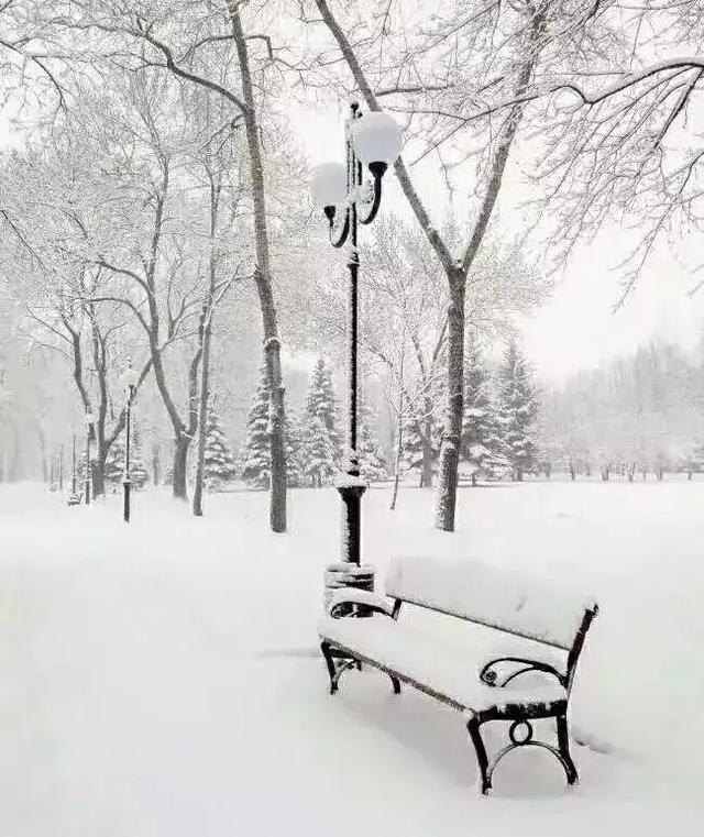 今天黑龙江降雪将进一步减少，气象变化带来的新希望，黑龙江降雪减少，气象变化带来新希望