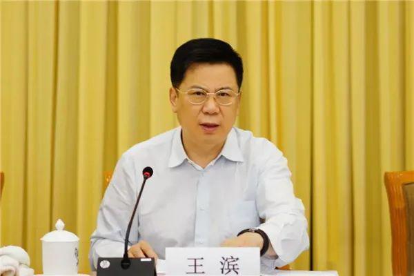 中央决定的深远影响与战略意义，中央决策的战略意义与深远影响