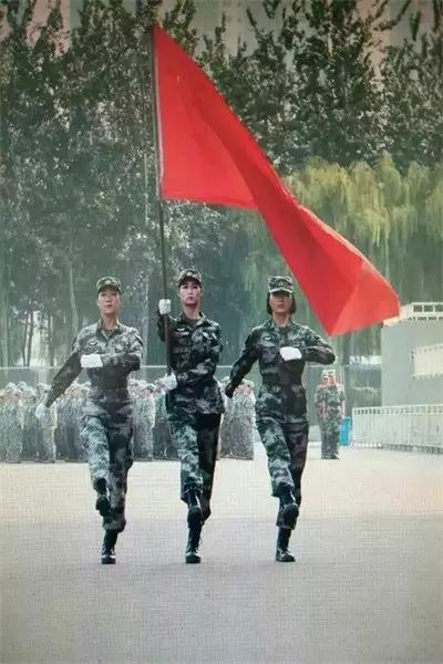 三军仪仗队男兵身高要求，探究与解析，三军仪仗队男兵身高要求揭秘与探究