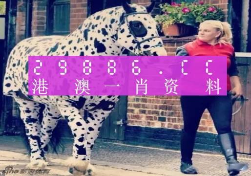 澳彩平肖王中王，一笑一码之间的传奇故事，澳彩传奇，平肖王中王的一笑一码故事