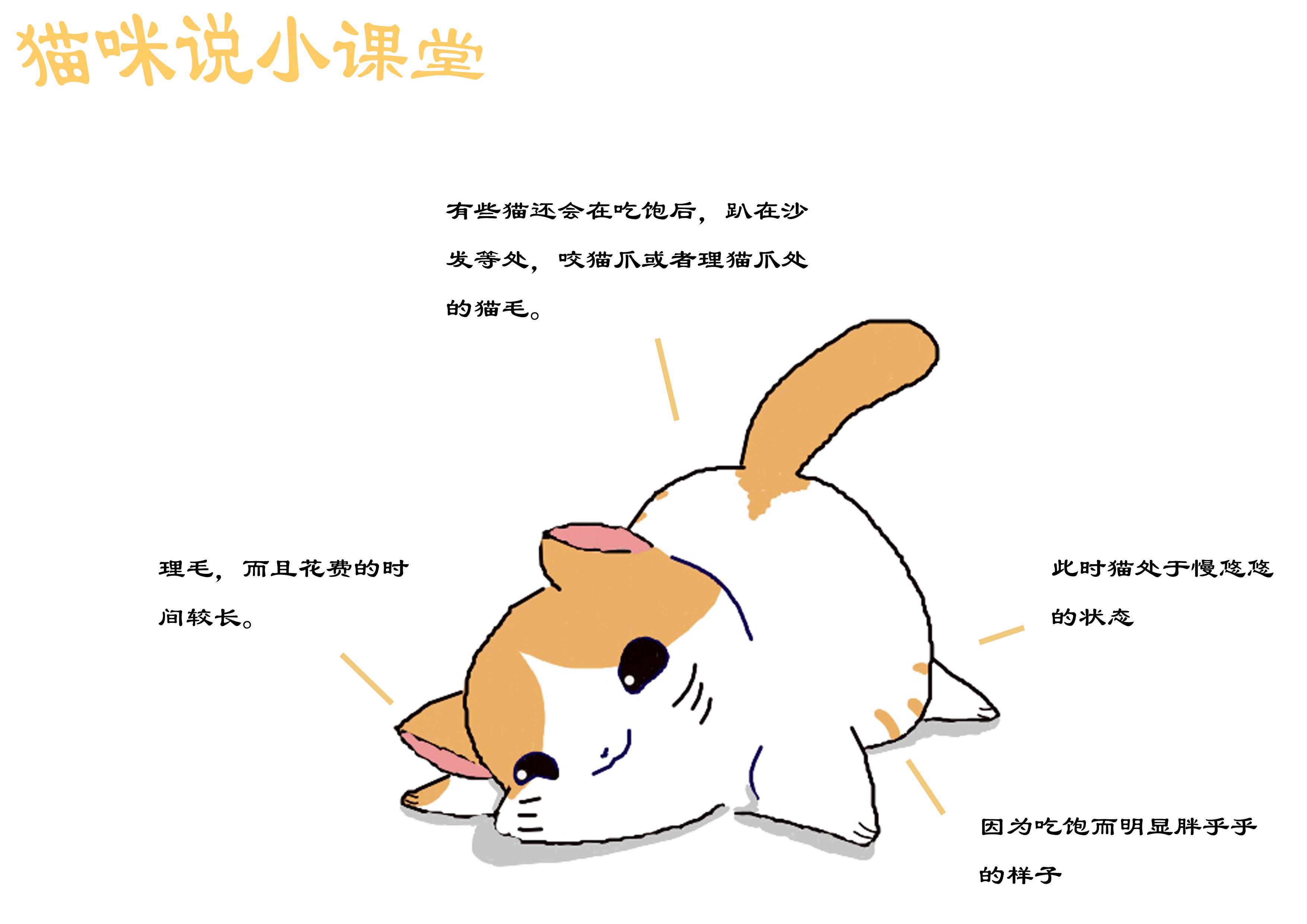 最新消息揭秘，吃饭不仅仅是满足味蕾的享受，更是缓解饥饿的有效手段，揭秘，吃饭不仅是味蕾享受，更是缓解饥饿的有效方法
