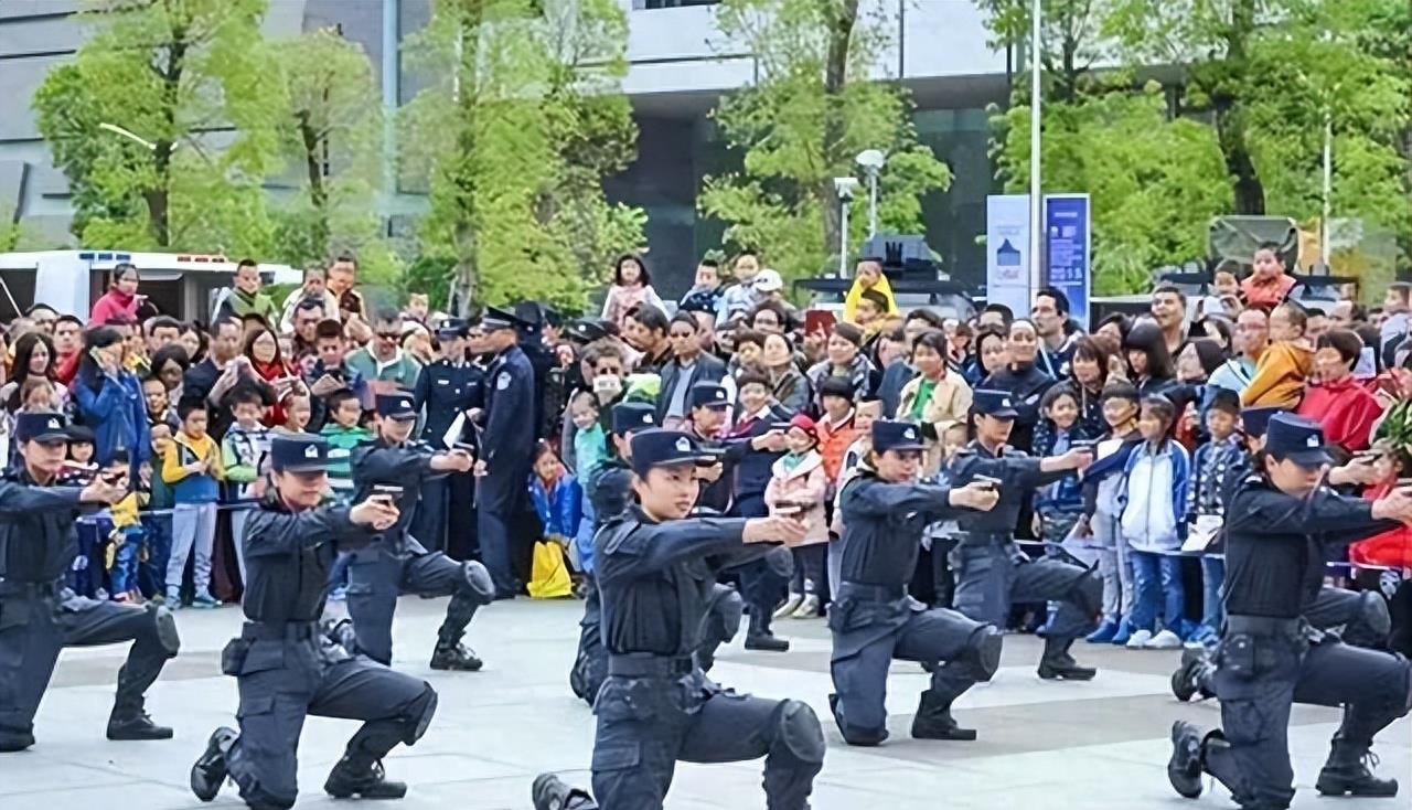 公安敢打国安局的人吗——论法治精神与职业操守，法治精神与职业操守下的公安与国安关系探讨