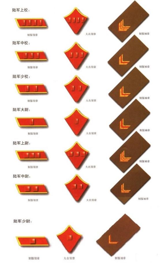 军官的军衔标志，象征荣耀与职责的徽章，军官军衔标志，荣耀与职责的象征徽章