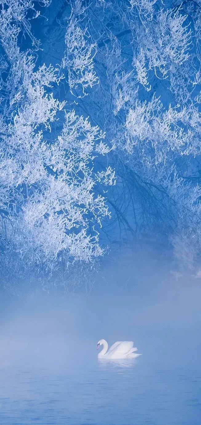 高清图片下的自然风景，自然之美的无尽展现，高清图片展现自然风景的无尽魅力