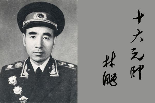 关于四十师历任师长的杰出贡献与领导历程的探究，四十师历任师长杰出贡献与领导历程深度探究