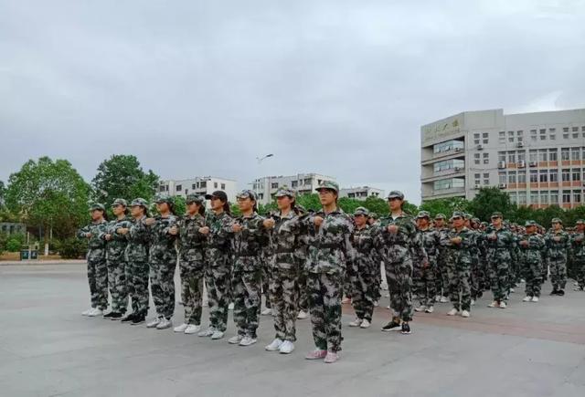 九图军事老师，军事教育的卓越代表，九图军事老师，军事教育领域的杰出典范