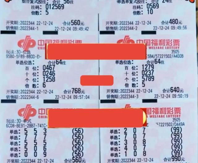 一肖中奖概率，揭秘彩票背后的数学逻辑，揭秘彩票背后的数学逻辑，一肖中奖概率解析