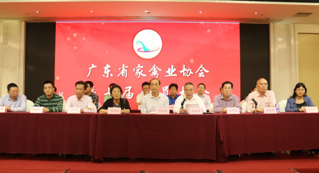 今天特大新闻新事，揭示新时代的崭新面貌，新时代崭新面貌揭秘，今日热点新闻深度报道