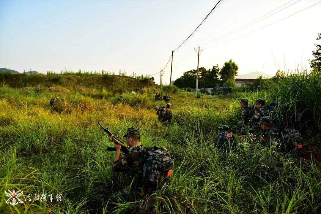 中国正在每个战区进行集结，战略调整与大国担当，中国战区战略调整，大国担当下的全面集结